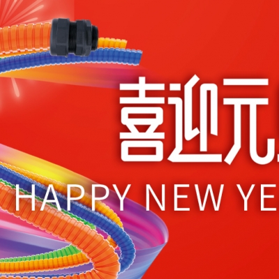 浙江雷諾爾 - 同心聚力 共創(chuàng  )未來(lái)